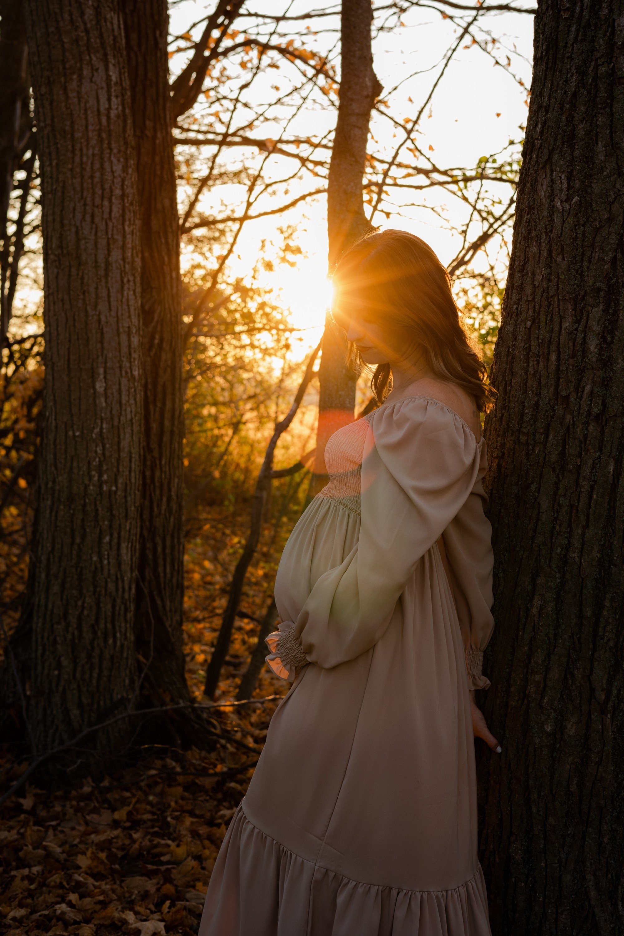 carousel-hero-element image-2