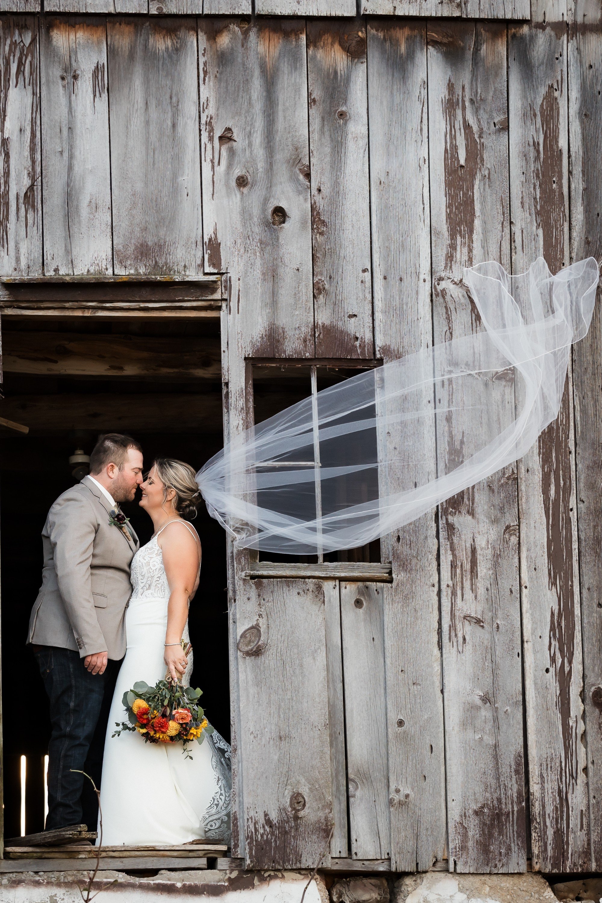 carousel-hero-element image-0