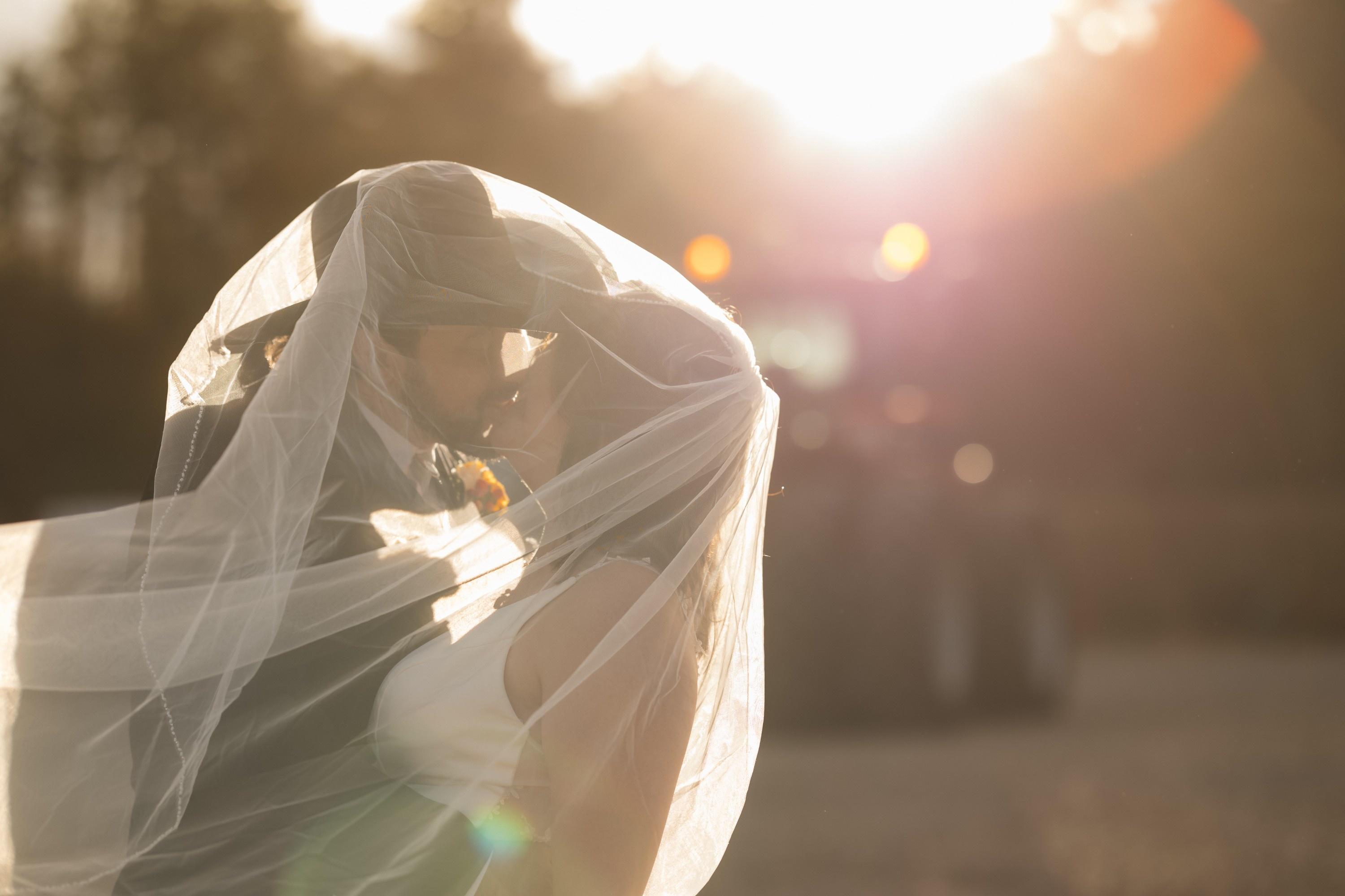 carousel-hero-element image-0